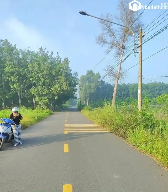 Bán Đất Chánh Phú Hòa, Bến Cát Bình Dương