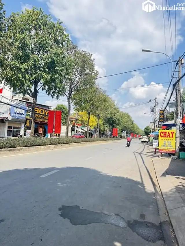 Biệt Thự Mini - Phong Cách Cổ Điển- Ngay Đường Trần Thị Điệu, Quận 9